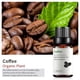 thumbnail image 5 of Salud y Belleza, Cuidado Personal, Aceites Esenciales, Aceite Esencial, Aceite Alivia la Fatiga Aromaterapia Ayuda a Respirar 10ml, una esencia, 5 of 8