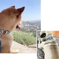 thumbnail image 4 of Dog collar lead knot cotton girl dog collar strap Safety metal clasp adjustable dog collar, 4 of 5