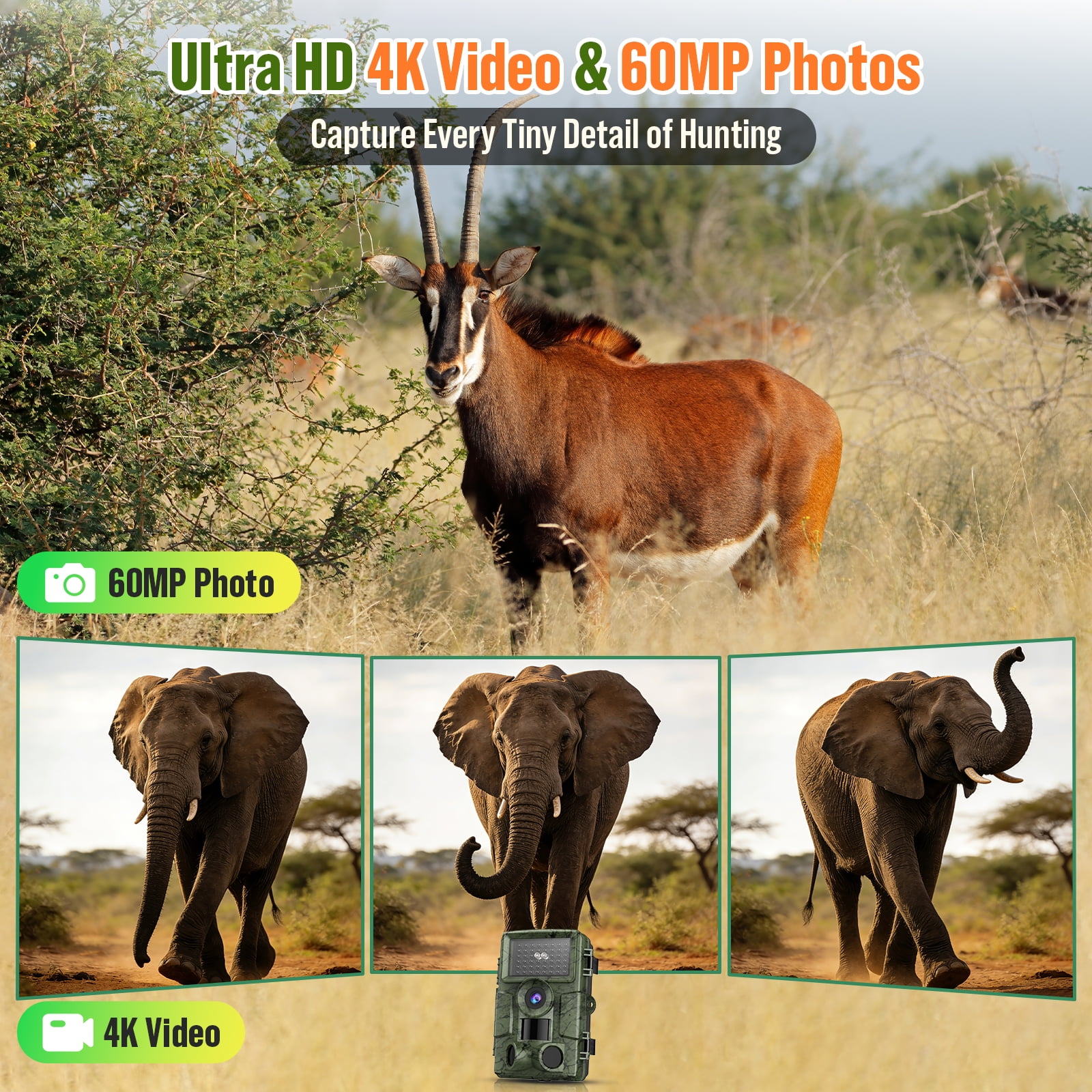 BEBANG WiFi Trail Camera with 64GB SD Card, 60MP 4K Hunting Camera, 120° Wide-Angle Night Vision Game Camera for Deer Scouting, 24/7 Wildlife Monitoring & Home Security