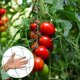 thumbnail image 5 of Red de Enrejado para Plantas Trepadoras 5m x 1,8m Vhermosa, 5 of 5