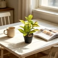 thumbnail image 7 of Artificial Potted Plants with Black Planter Faux Croton Greenery for Living Room and Office Desktop Decor, 7 of 7