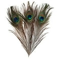 thumbnail image 1 of de Cola de Ojo de Pavo Real de 10 Piezas para Máscara, Sombrero, Broche Artesanal, Exhibición Floral de 9 a 13 Pulgadas Macarena Ajuste de encaje de colores, 1 of 8