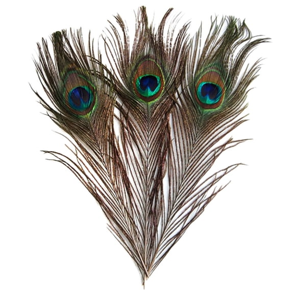 Rongfmy 10 Pieces Peacock Eye Tail Feathers for DIY Crafts Hat Millinery Making ming