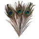 thumbnail image 1 of 10 Plumas de Cola de para Manualidades, , Sombrero, Fabricación de Molinillos, 9-13 Pulgadas, 1 of 9