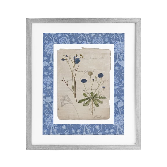 Stupell Industries Cottage Blue Antique Herbs Gray Framed Print Under Glass, 13 x 16, by Livi Finn