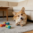 thumbnail image 4 of Dog Chew Toys Bones Like Teething Sticks Lasting Pet Toys Perfectly For Dogs To Use For Teething, 4 of 5