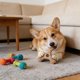 thumbnail image 5 of Juguetes para morder perro de larga duración y cachorros que están dentiendo: madera natural y huesos de plástico para limpiar los dientes y aliviar la ansiedad, 5 of 6