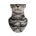 thumbnail image 3 of Bufanda Bandana Cubierta Facial con Orejas Colgante 24cmx34cm Transpirable Colamx Estilo C, 3 of 8