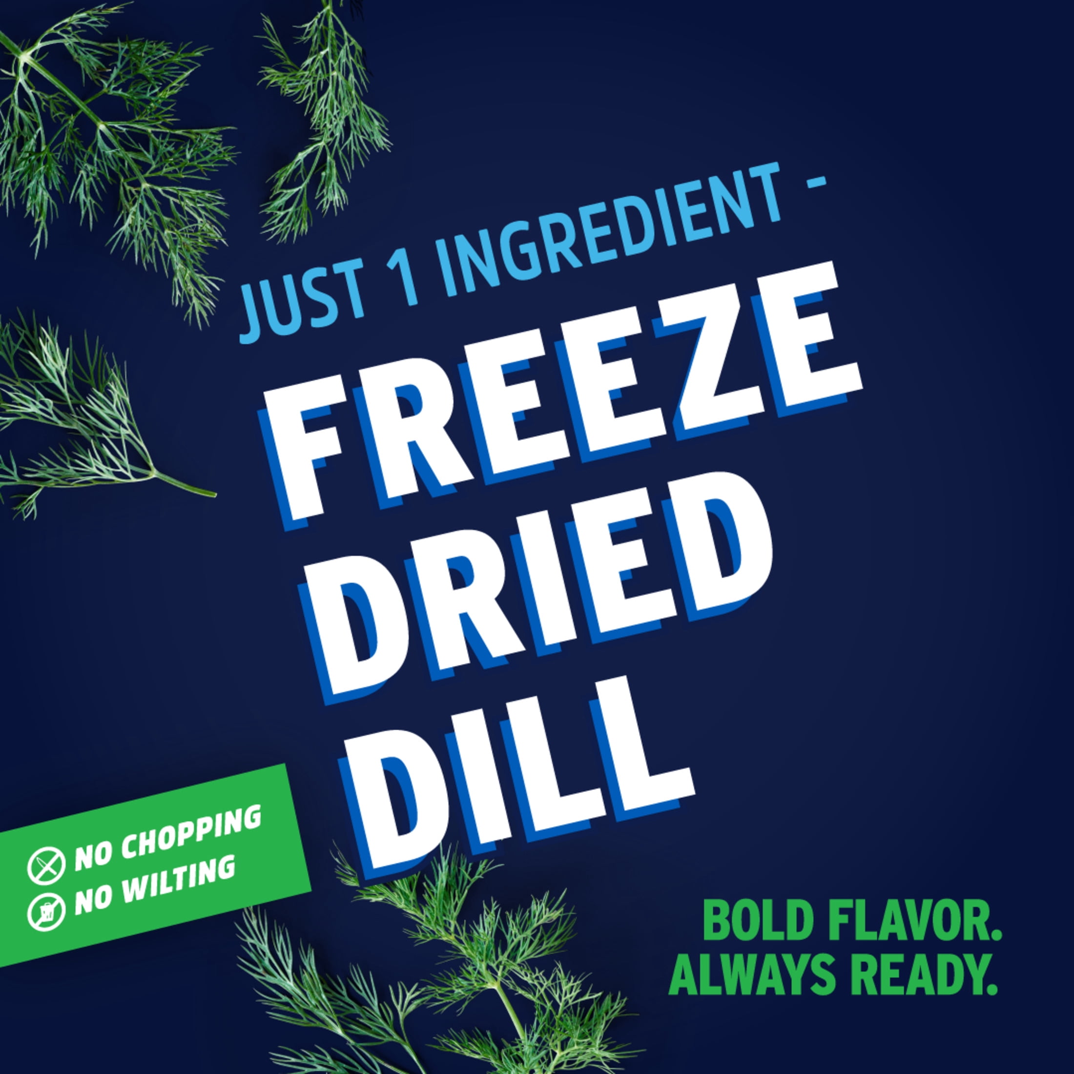 Litehouse™ Freeze Dried Dill 0.35 oz. Jar