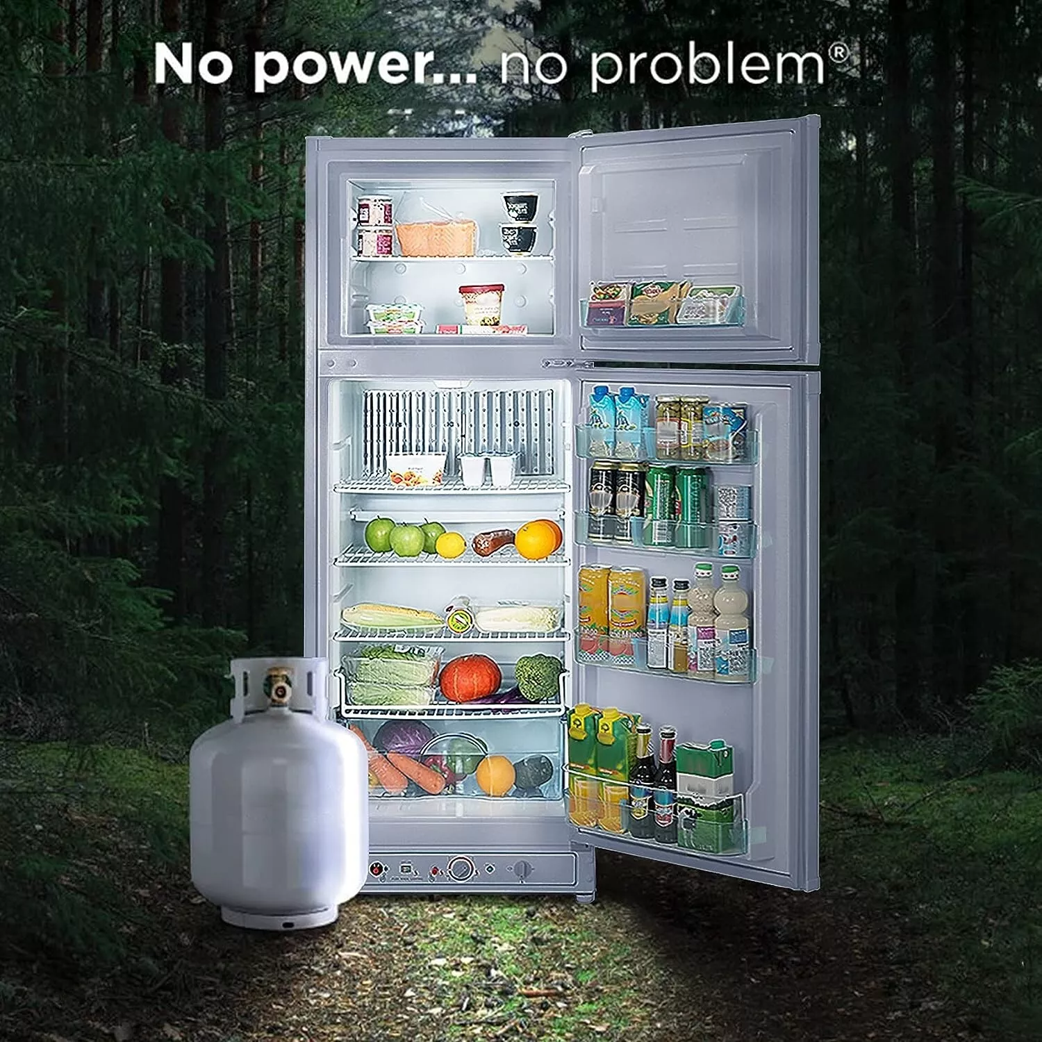 Techomey Top Freezer Propane Refrigerator 13.4 cu ft Powered 110V/LPG, Garage RV Cottages Chalets