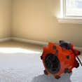 thumbnail image 7 of Blower Fan - 3-Speed Heavy-Duty Floor and Carpet Dryer - 1600 watts - Portable Air Mover with 4 Different Angles for Basements, Cars or Garages, 7 of 7