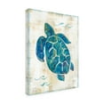 thumbnail image 3 of Trademark Fine Art Sue Schlabach On The Waves Vi Canvas Wall Art - 14x19, 3 of 5