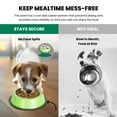thumbnail image 3 of Iconic Pet 2-Pack Color Splash Stripe Non-Skid Pet Bowl, For Dog or Cat, Green, 8 Oz, 1 Cup, 3 of 11