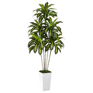 Artificial Dracaena Tree 6ft Tall Pre Potted Dracaena Trees with Black Tall Planter for Indoor Outdoor Home Office Decor
