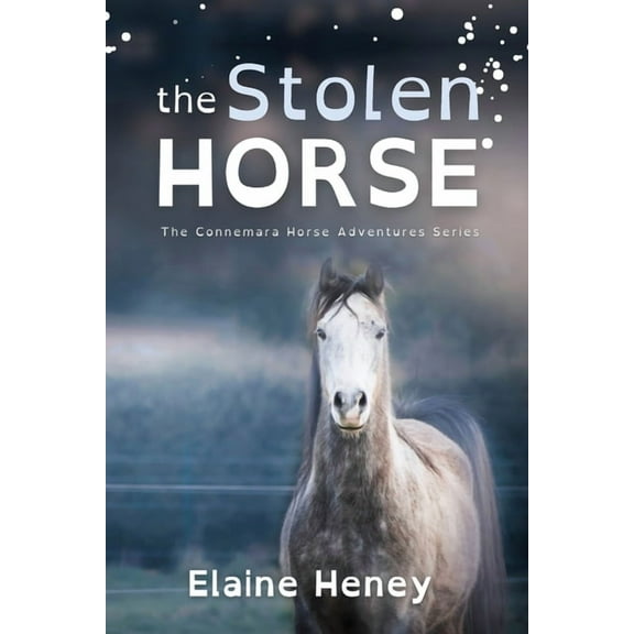 Connemara Horse Adventure The Stolen Horse - Dyslexia Friendly, Book 4, (Paperback)