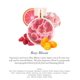 thumbnail image 2 of Eau De Parfum para mujer Kensie Kensie Rosy Bloom 3.4 oz/100ml, 2 of 4