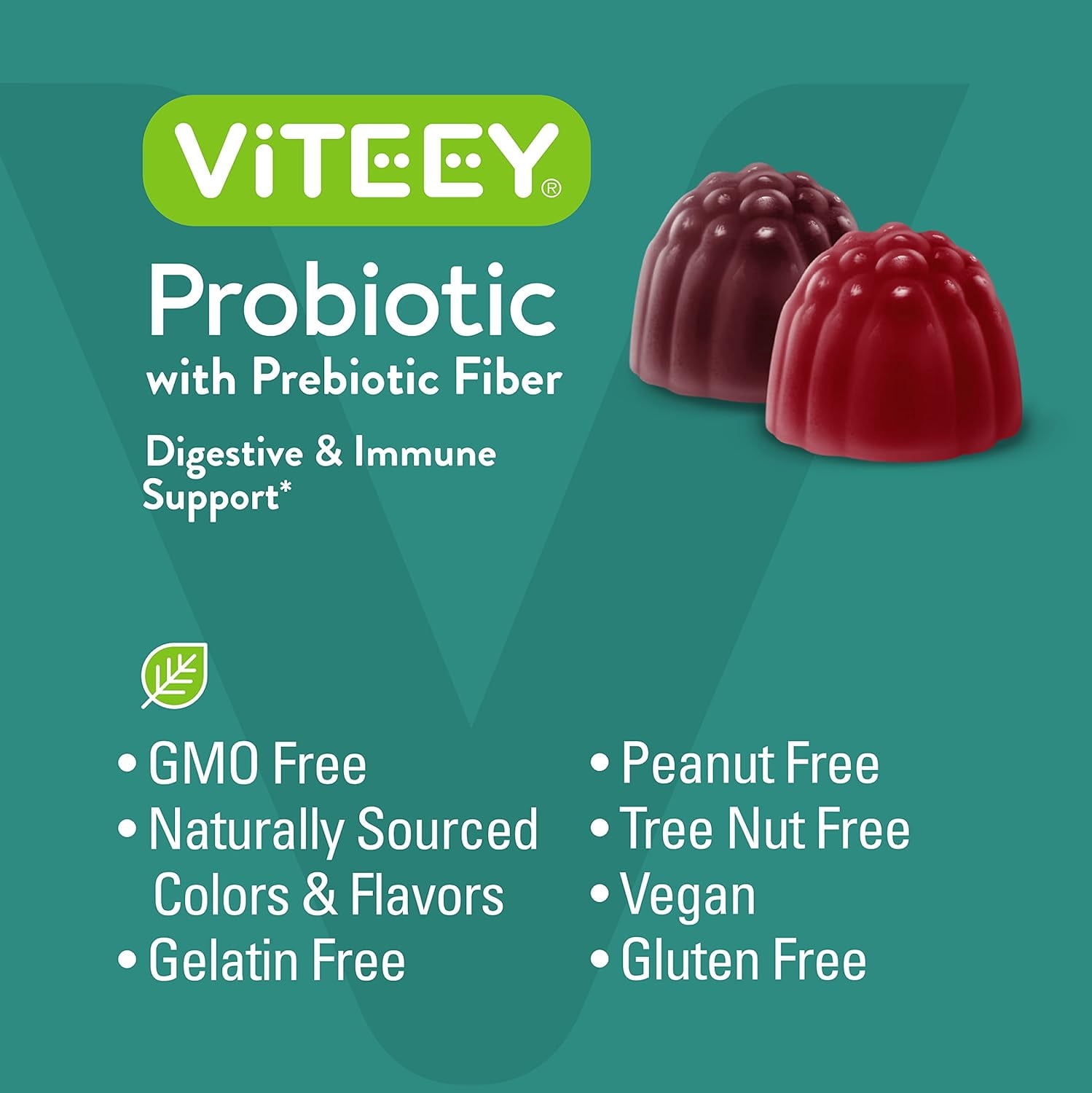 VITEEY Probiotic Gummies with Prebiotic Fiber, Gut & Immune Support, Berry Flavor 60 Count, 2 Pack