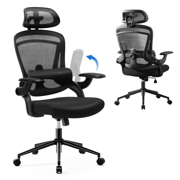 edx Ergonomic Office Chair, Mesh Computer Desk Chair with Lumbar Support, 275lb, Black