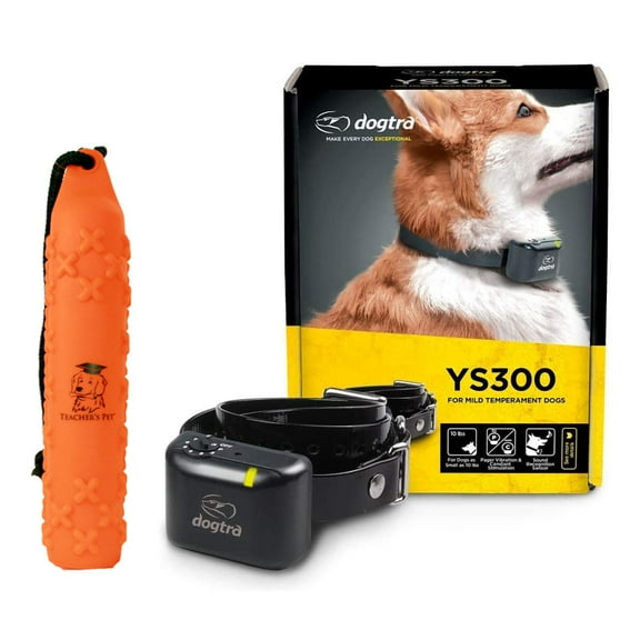 Dogtra YS300 Rechargeable Waterproof Compact No Bark Collar with Teacher’s Pet Vinyl Dog Training Hunting Dummy Bumper