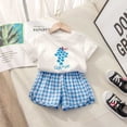 thumbnail image 2 of PEACNNG Short Sleeved Suits Summer Baby Girls Clothes New Kids 2 Piece Set Cotton Toddler Plaid Shorts Set Clothing 9m-4y, 2 of 5