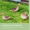 thumbnail image 3 of Qumonin Metal Duck Garden Stakes, Yard Art Animals for Outdoor Decor (YKLU071A+B+C), 3 of 5