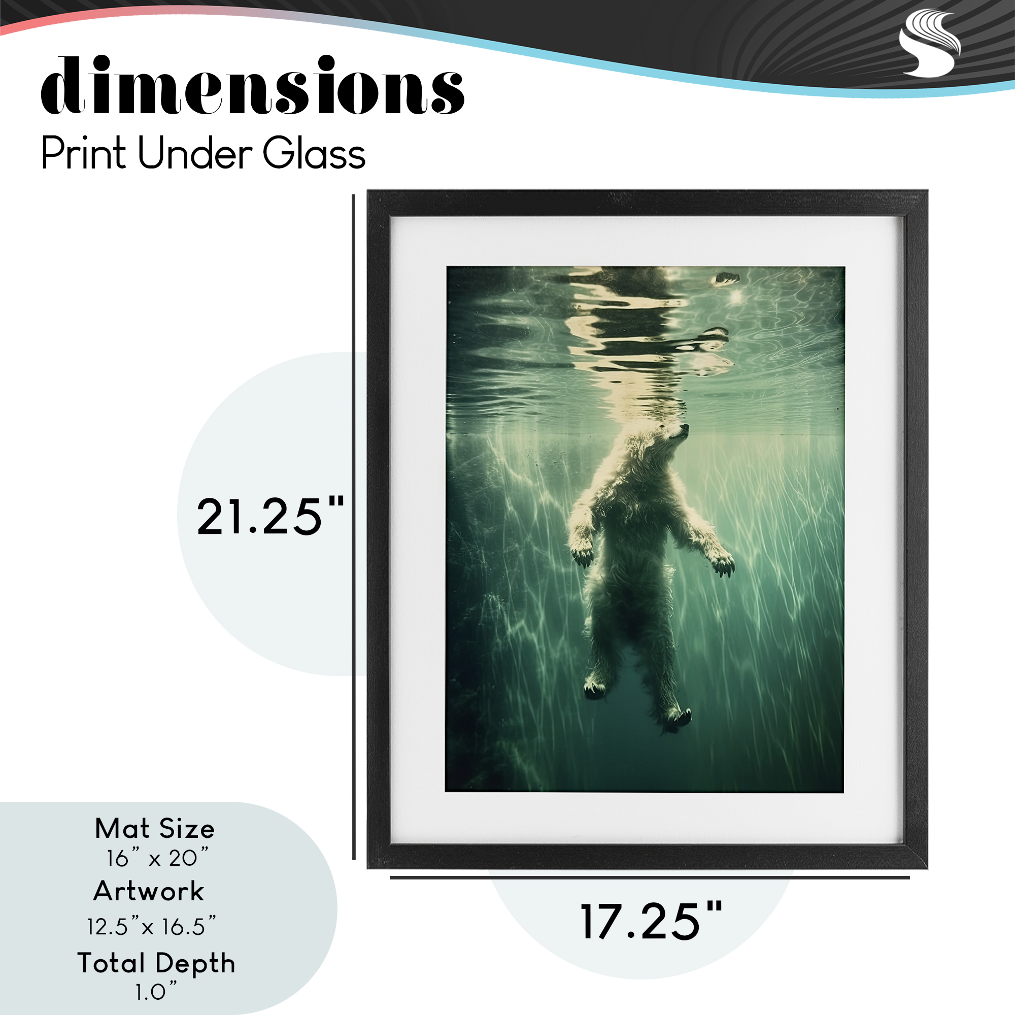 Floating Bear Underwater Black Framed Print Under Glass, design by Decent Exposures