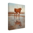 thumbnail image 2 of Trademark Fine Art 'Looking Glass Longhorn' Canvas Art by Kathy Winkler, 2 of 4