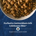thumbnail image 4 of Blue Buffalo Wilderness Adult Grain-Free Dry Dog Food with Natural Ingredients, Salmon, 24-lb. Bag, 4 of 13