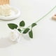 thumbnail image 5 of Plantas Artificiales De Plástico Paquete De 5 Ramos De Flores Artificiales Para Bodas En Casa, Flores Decorativas Multiusos De Plástico En Blanco, 48cm Rkxzt, 5 of 9