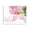Child Of God Pink Flower, variant on Stupell Industries French Country Be Still Apple Blossoms Black Framed Print Under Glass, 16 x 13, by Gail Peck