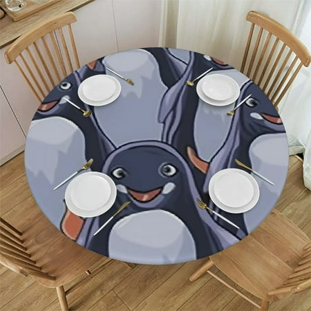 

Xllo0ord Fitted Round Tablecloth Grey Doves gray pigeon funny city bird cartoon Table cover Elastic Edged Table Cloth Fits Round Tables 42 -46