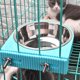 thumbnail image 4 of Azul (L) Tazón para Jaula para Perros Cuenco Colgante Extraíble de Acero Inoxidable para Mascotas Jaula Tazón de Agua pequeño Alimentador Comida para Perros Gatos Conejos Birdsgreen Suministros para M, 4 of 5