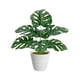 thumbnail image 2 of Decoración artificial de plantas artificiales de interior Monstera Deliciosa Bonsai - Árbol de vegetación sintética realista, ramas ajustables, adorno de escritorio de bajo mantenimiento, 2 of 6