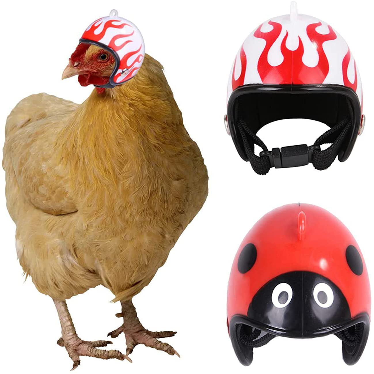 6 PCS Pet Chicken Helmet Bird Toy Helmet Hat Poultry Chicks Hat Headwear Parrot Headgear to Protect Small Poultry Head Costumes Accessories