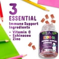 thumbnail image 4 of Kids Immune Support Gummies - Vitamin C, Zinc & Echinacea Children's Daily Immune Health Support Gummy Supplement for Ages 4 and Up, Natures Kid's Vitamin C Gluten-Free & Non-GMO, Vegan - 120 Gummies, 4 of 10