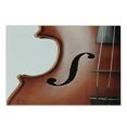 thumbnail image 1 of Cello Cutting Board, Macro Photography of Classical Music Instrument Orchestra Equipment, Decorative Tempered Glass Cutting and Serving Board, in 3 Sizes, by Ambesonne, 1 of 2