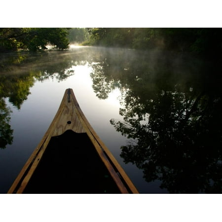 Canoeing Alexander Springs Creek, Ocala National Forest, Florida Print Wall Art By Maresa