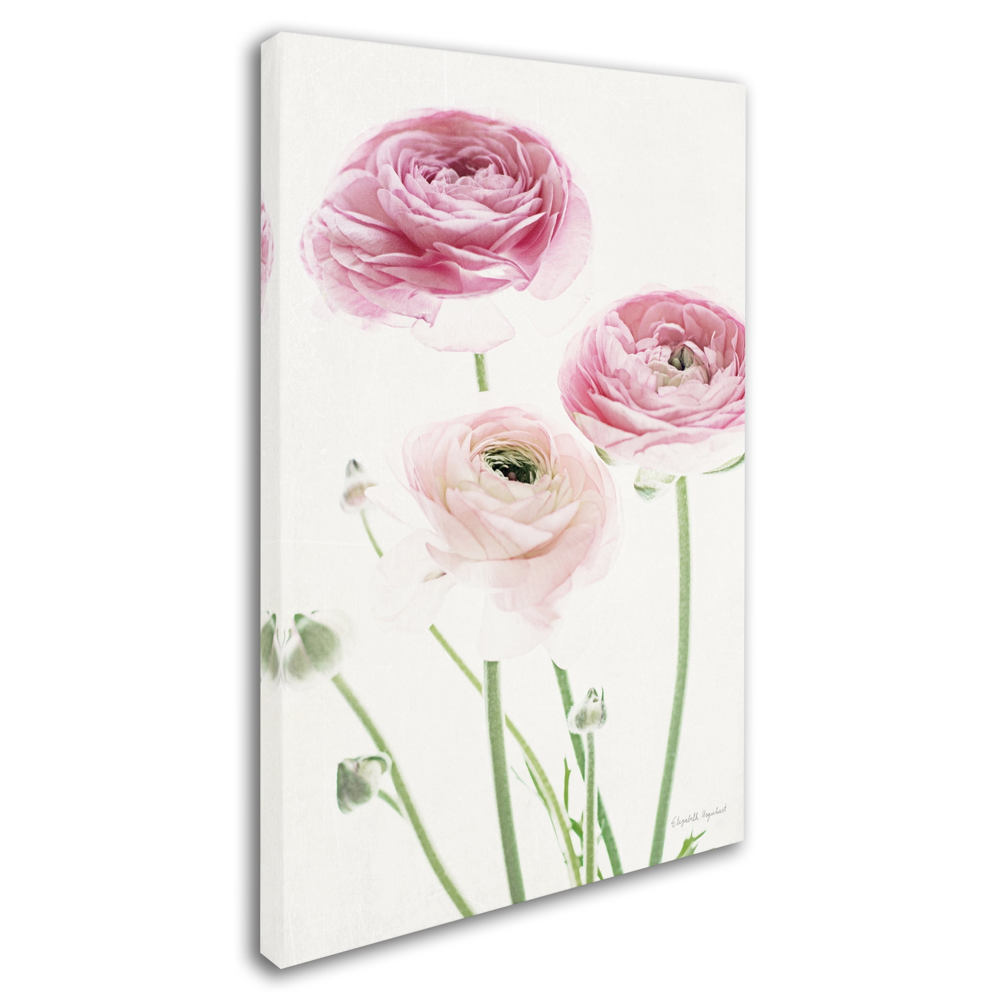 Trademark Fine Art 'Light and Bright Floral VI' Canvas Art by Elizabeth Urquhart