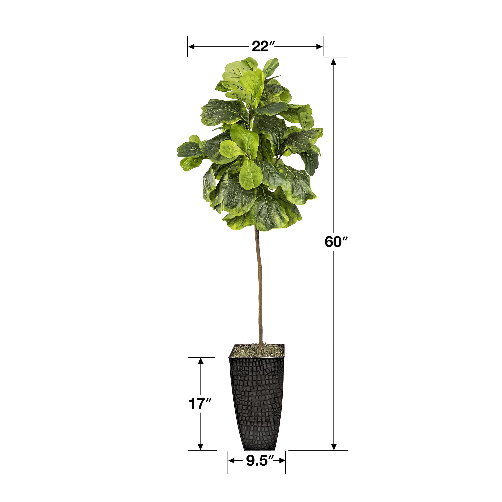 LCG Florals Artificial Tree, Fig Tree, 6 ft, Black Metal Container