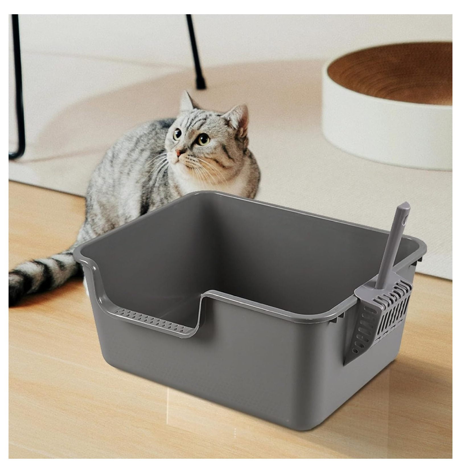 4-Pack Plastic High Side Cat Litter Box, Large Open Litter Box, Gray, 19.69 x 15.24 x 8.46 Inches