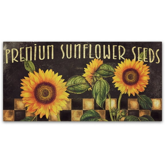 Trademark Fine Art "Sunflowers" Canvas Art by Color Bakery
