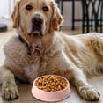 thumbnail image 3 of Supvox Dog Dishes for Small Dogs Round Slow Eating Bowl Plastic Pink 1Pack, 3 of 6
