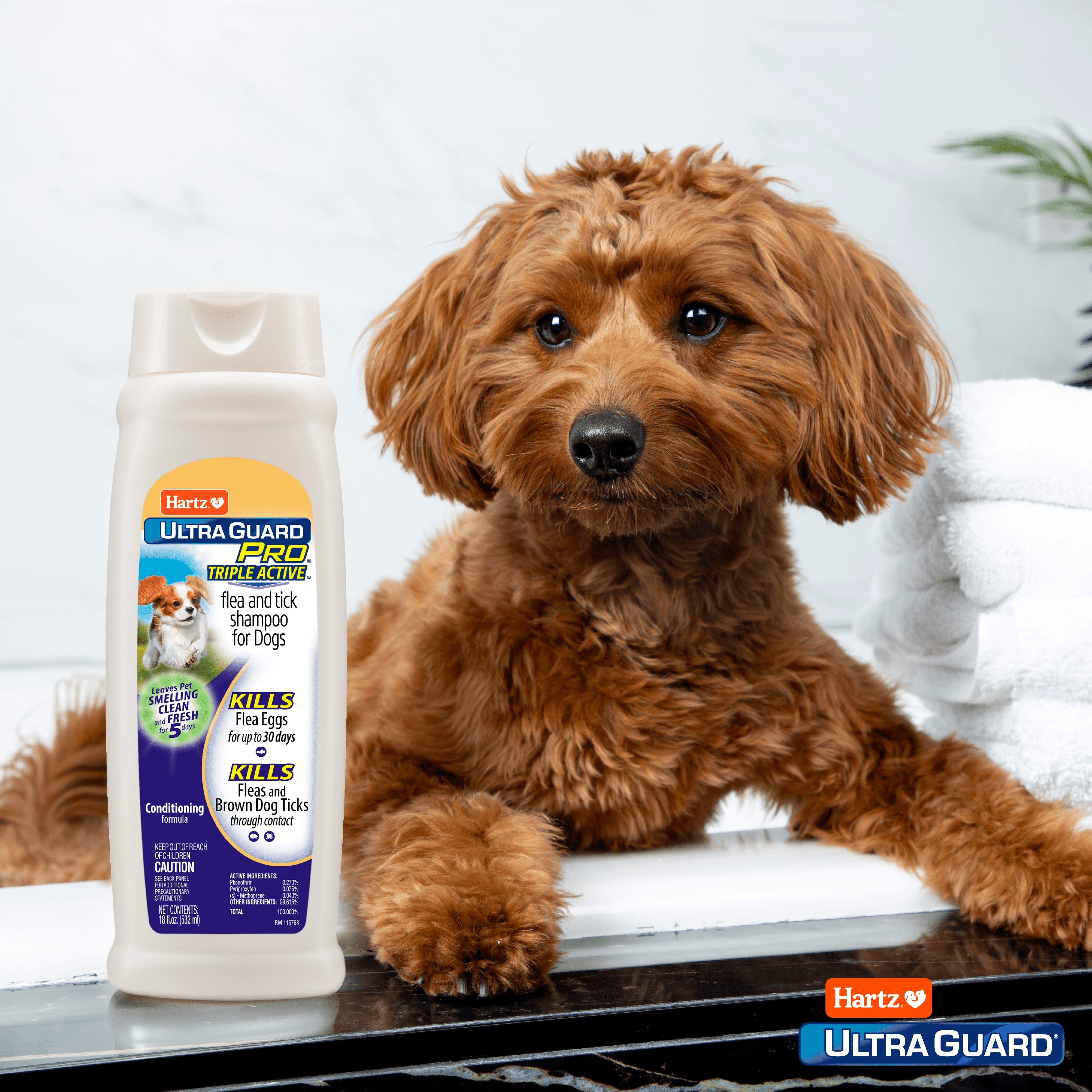 2 pack Hartz UltraGuard Pro Triple Active Flea and Tick Shampoo for Dogs 18oz Walmart
