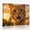 D, variant on XaaKee Canvas Wall Art Orange Tabby Humorous Animal Portrait Travel Concept Prints Inner Framed 1812Inch
