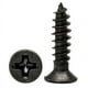 thumbnail image 1 of Tornillo autorroscante de cabeza avellanada con cruz negra, tornillo autorroscante de cabeza plana, tornillo pequeño M1/M2/M3/M4/M5, 1 of 4