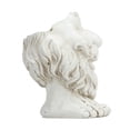 thumbnail image 5 of Macetero con estatua facial, imagen única, forma bonita y divertida, maceta con cabeza impermeable personalizada para decoración de jardín tipo 1, 5 of 5