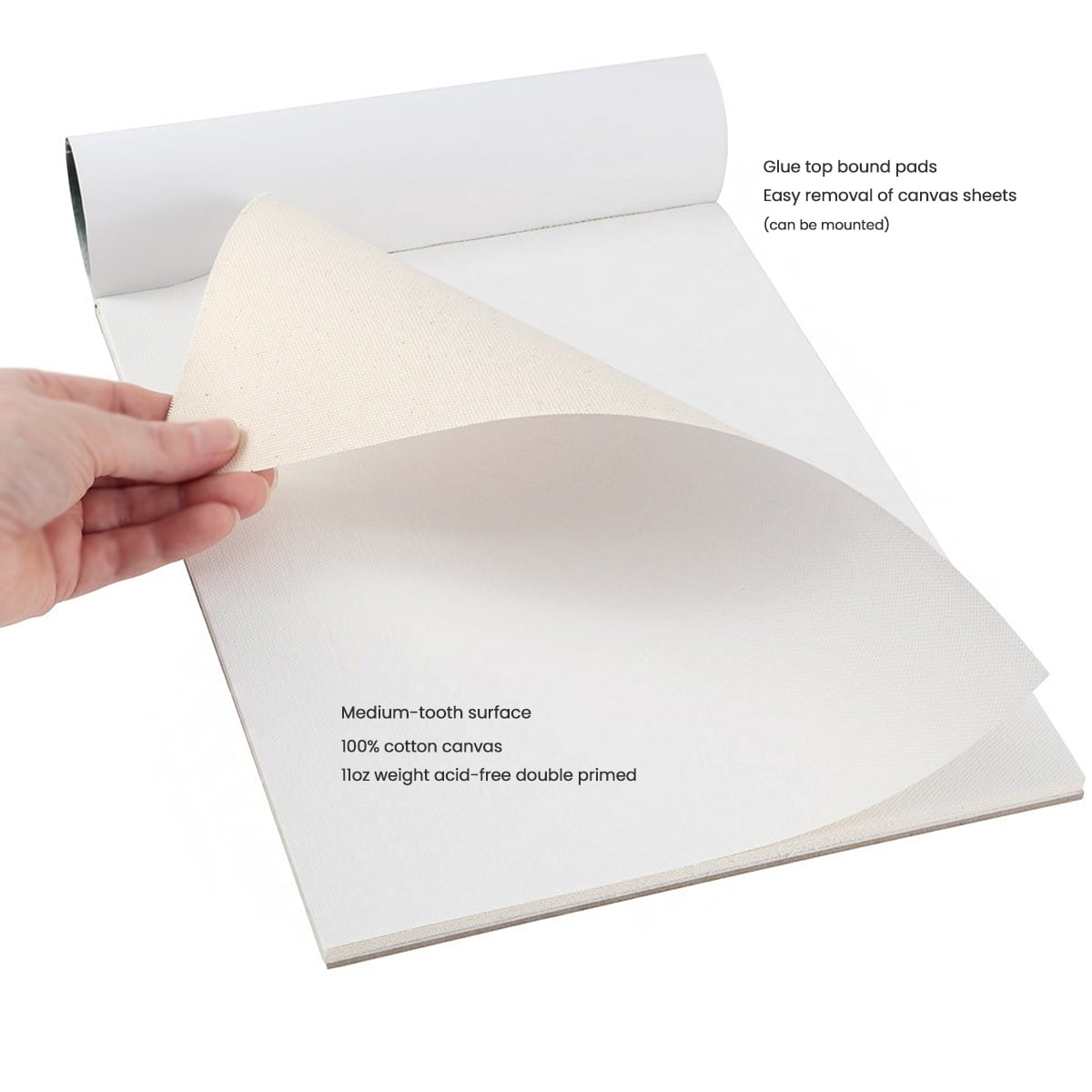 Paramount Universal Primed Premium Cotton Canvas Pads - 2 Pack - 11" x 14" - Universal Double Primed Cotton Canvas Pads for Drawing, Painting, Travel, & More