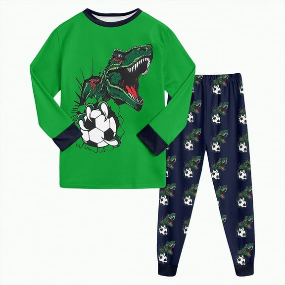HCNTES Boys and Girls Suit Long Pants Regular Long Sleeved Round Neck Dinosaur 3D Printed(7-8 Years,G15-Green)