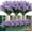 Purple, variant on Artificial Daffodils Flowers, Fake Artificial Greenery UV Resistant No Fade Faux Plastic Plants for Wedding Bridle Bouquet Indoor Outdoor Home Garden Kitchen Office Table Vase (Blue)