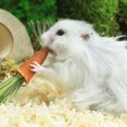 thumbnail image 4 of Shisuyan Rabbit Chew Toys Multi 9Pack 2.4X0.8X0.8In Timothy Grass Carrot Synthetic Material, 4 of 9